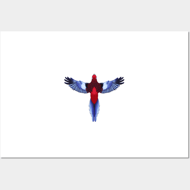 Crimson Rosella Wall Art by 48Tuesdays